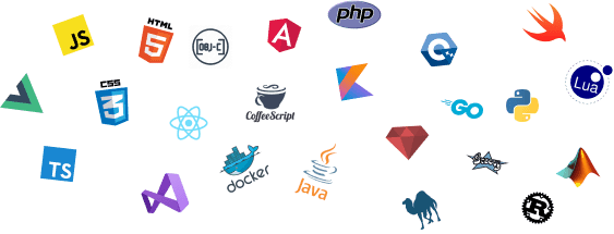 A collection of programming languages like JavaScript and PHP